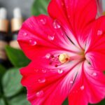 Geraniol w kosmetykach: działanie, zastosowanie i bezpieczeństwo